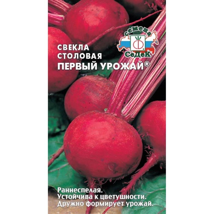 Сорта свеклы – 60 лучших сортов 2024 года