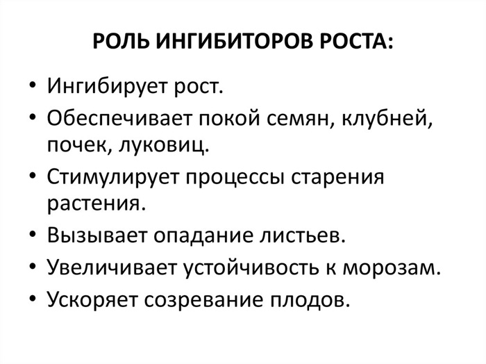 Стратификация семян в домашних условиях: 4 лучших способа