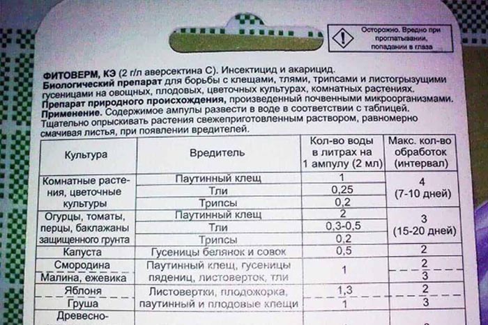 Тля на огурцах в теплице и открытом грунте. Рейтинг 2024 средств от тли