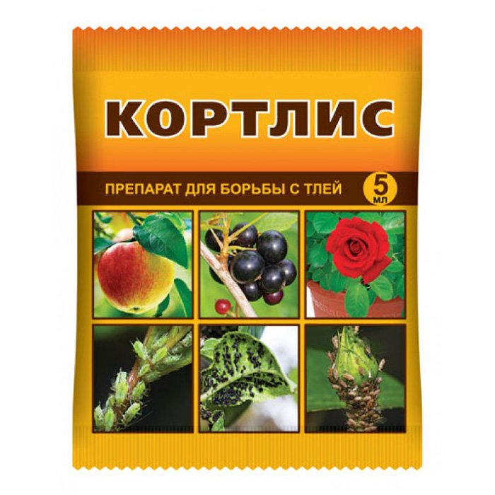 Тля на перце: как избавиться, чем обработать? Рейтинг средств 2024 года