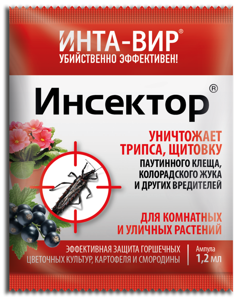 Тля на перце: как избавиться, чем обработать? Рейтинг средств 2024 года