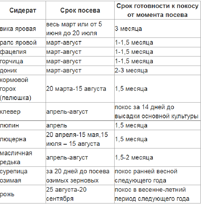 ТОП-13 сидератов для огорода — когда какие сеять