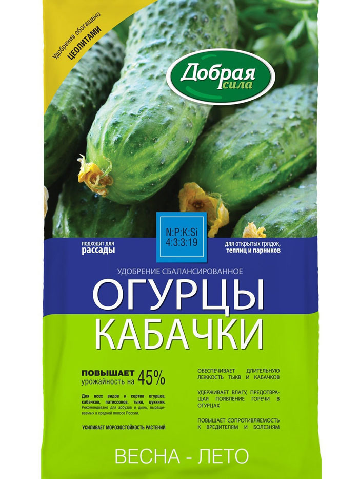 Все о подкормке огурцов в теплице – сроки, схемы, дозировки