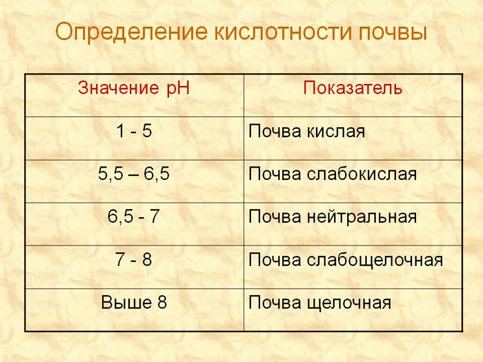 Зола как удобрение — секреты правильного использования