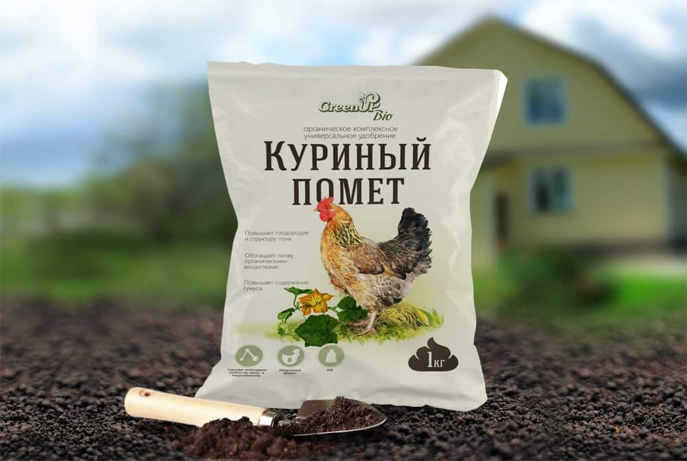 Куриный помет – оптимальное удобрение для кустов картофеля