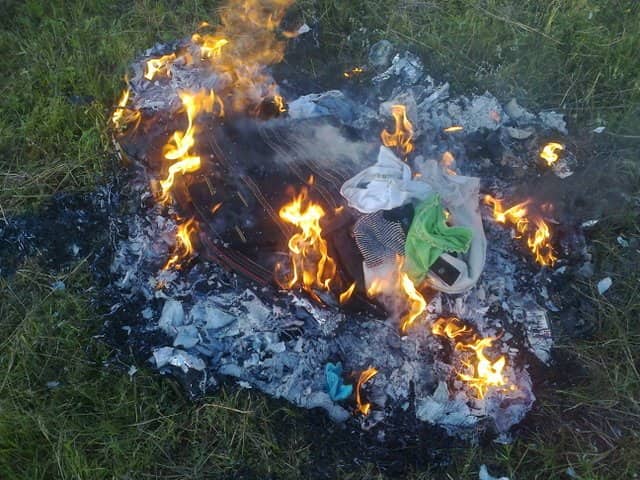 Подкормка золой перцев в закрытом и открытом грунте: сроки проведения и нормы внесения