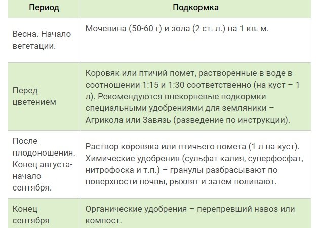 Тонкости посадки и выращивания крупноплодной клубники сорта Азия