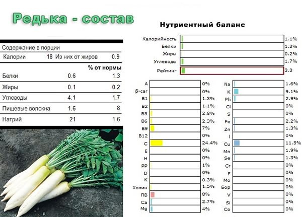 Чем полезна и вредна редька для организма человека