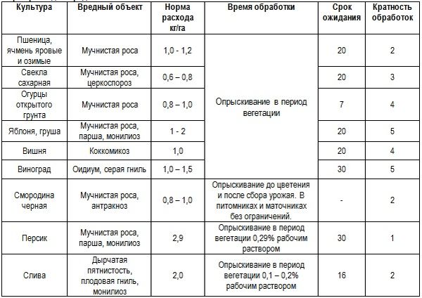 Причины появления белого и серого налета на листьях винограда