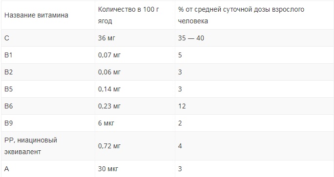 Бузина черная — лечебные свойства для и противопоказания (10 рецептов)