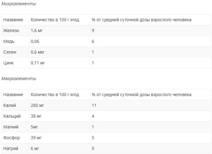 Бузина черная — лечебные свойства для и противопоказания (10 рецептов)