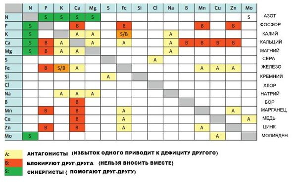 Особенности выращивания и ухода за виноградом в средней полосе России