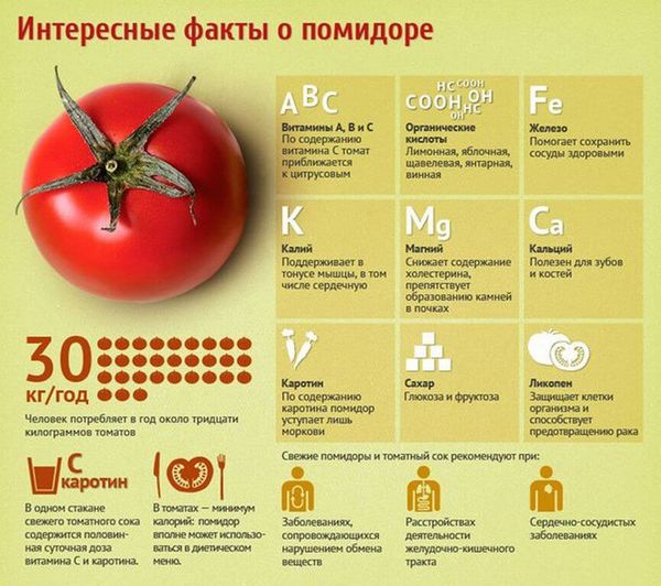 Уход и выращивание помидоров в открытом грунте