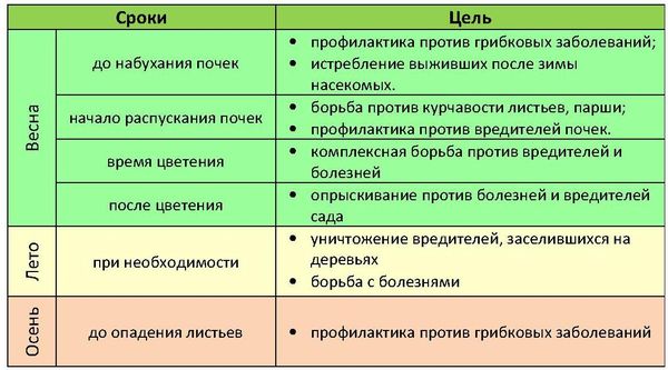 Как организовать уход за персиком в разное время года