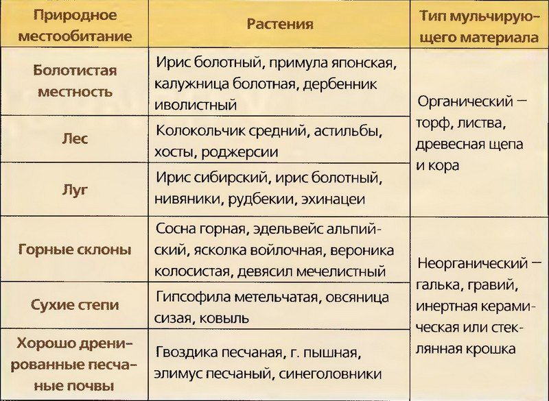 Мульчирование почвы – что это такое и зачем нужно?