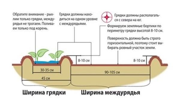 Сроки и лучшие схемы посадки помидоров в открытый грунт