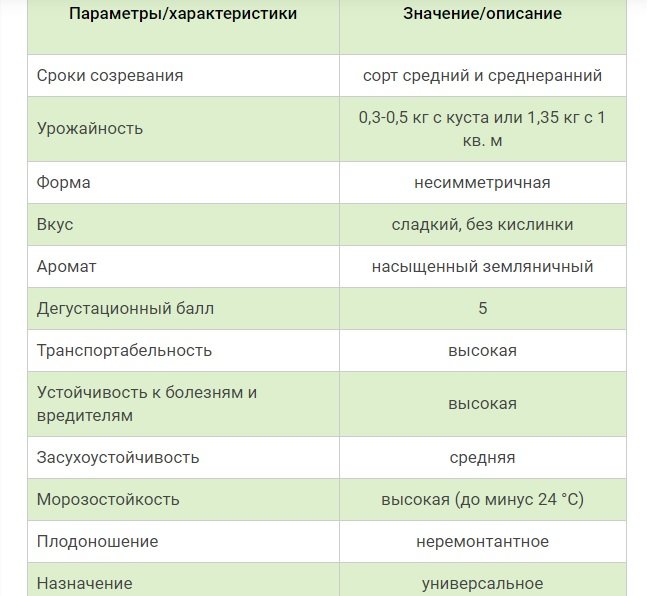 Как появилась земклуника Купчиха и в чем уникальность сорта