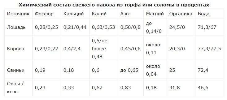 Виды органических удобрений: характеристики и советы экспертов по применению