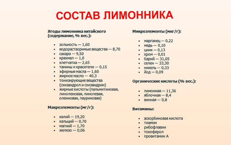 Лечебные свойства и способы применения лимонника китайского