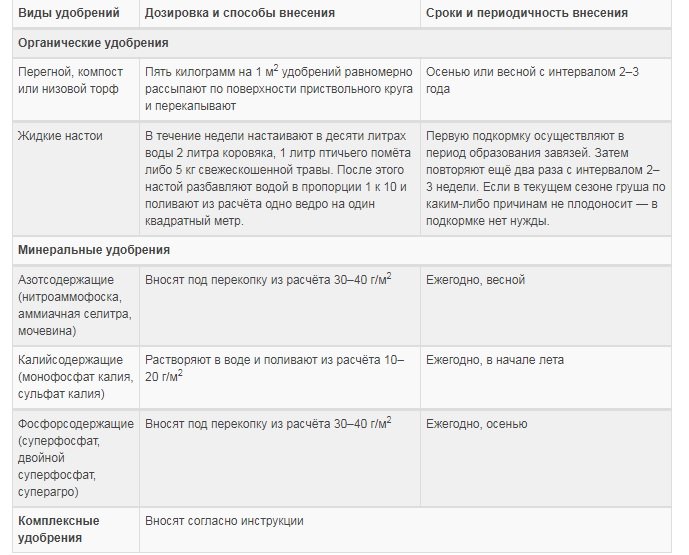 Особенности посадки и ухода за урожайной грушей сорта Чижовская