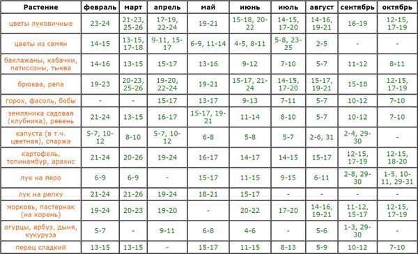 Лунный календарь огородника для Беларуси на 2024 год на каждый месяц