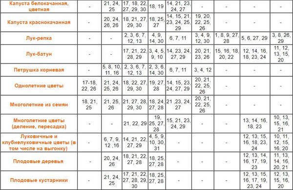 Лунный календарь огородника на 2024 год для Украины