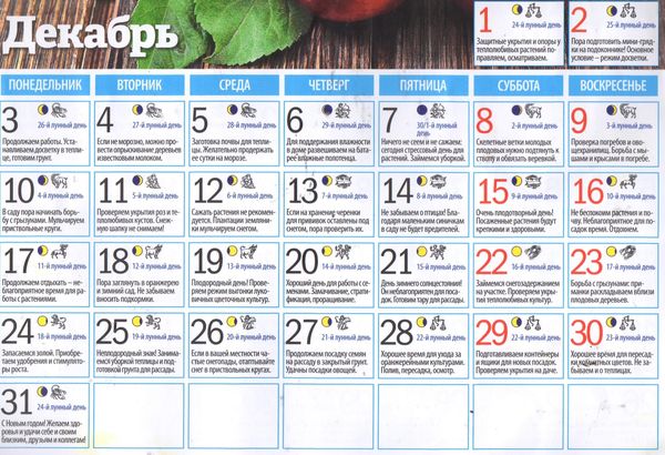 Лунный календарь огородника на декабрь 2024 года: благоприятные дни