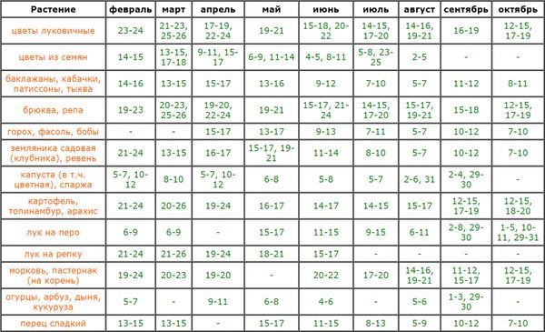 Лунный календарь садовода и огородника на 2024 год: благоприятные дни