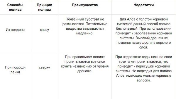 Как поливать алоэ в домашних условиях: правила