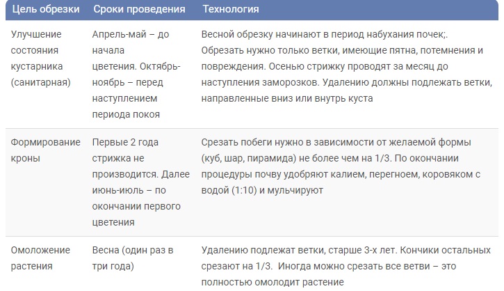 Кустарник Вейгела: описание, виды и сорта с фото, применение в ландшафте + правила посадки и ухода, подготовка к зиме