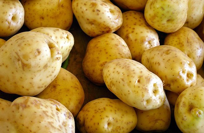 Картофель: польза и вред для здоровья человека, в сыром виде, в печеном, отварной