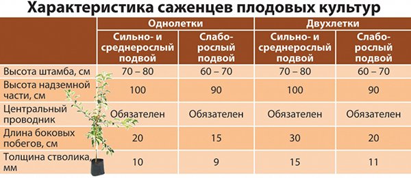 На что необходимо обратить внимание при выборе саженцев