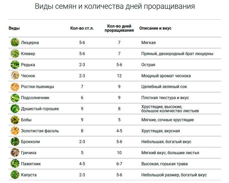 Проращиватель семян своими руками: пошаговая инструкция и фото + описание, назначение и разновидности приспособлений