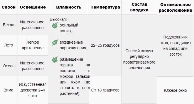 Уход за фиттонией в домашних условиях, размножение и проблемы выращивания + описание цветка, разновидности с фото