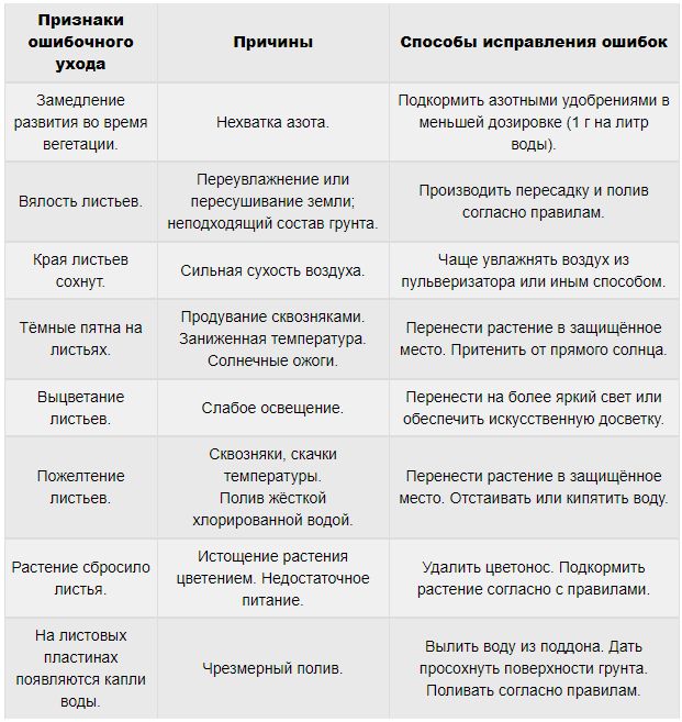 Уход за алоказией в домашних условиях: выбор грунта и места, обрезка, пересадка и размножение + разновидности цветка