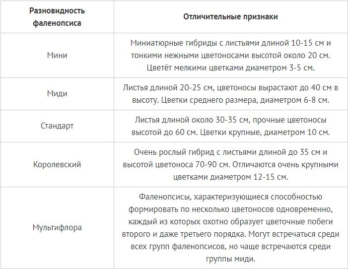 Виды и сорта фаленопсиса, межвидовые гибриды с названиями, описаниями и фото + особенности и классификация орхидей