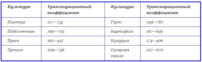 Что такое транспирация: виды (устичья и кутикулярная), продуктивность, интенсивность и коэффициент + описание процесса