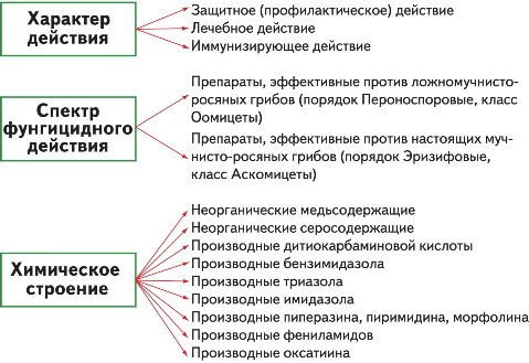 Фунгициды для растений: полный список препаратов, описания и классификация + как применять, отзывы специалистов