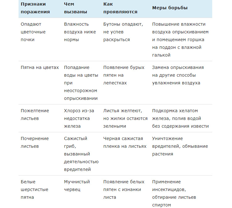 Гардения жасминовидная: описание цветка, уход в домашних условиях, болезни и вредители + лучшие виды и сорта с фото