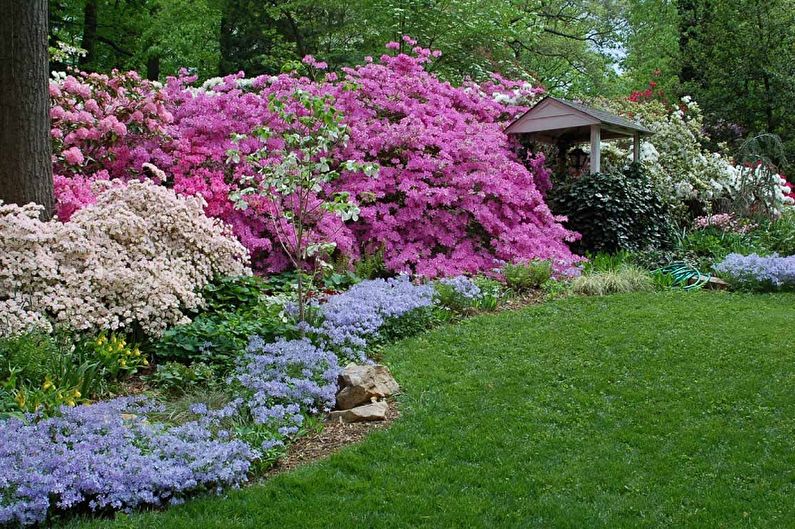 Посадка и уход за рододендроном садовым + описания и фото лучших видов и сортов, применение цветка в дизайне ландшафтов