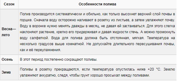 Уход за эхмеей в домашних условиях, возможные проблемы выращивания + описание комнатного цветка, виды и сорта с фото