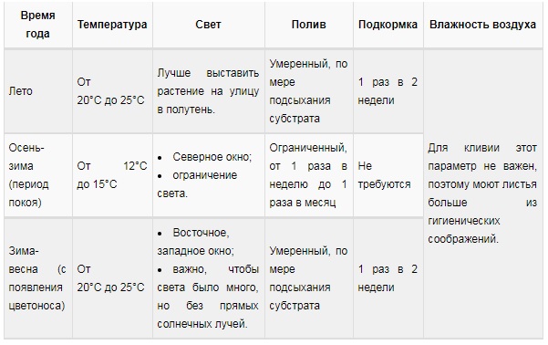 Уход за кливией в домашних условиях: среда произрастания, правила размножения и пересадки + проблемы выращивания