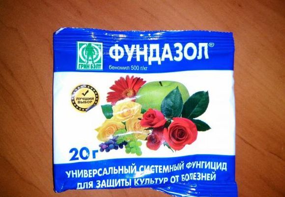 Вертициллез клубники