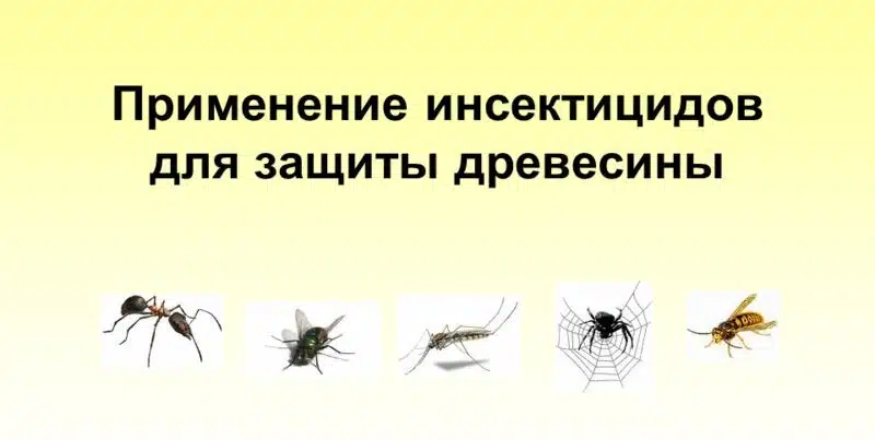 Что такое инсектициды, список препаратов для сада и комнатных растений