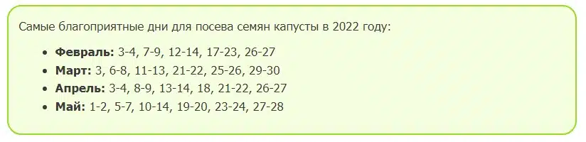 Когда сажать капусту на рассаду в 2024 году