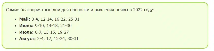 Когда сажать капусту на рассаду в 2024 году