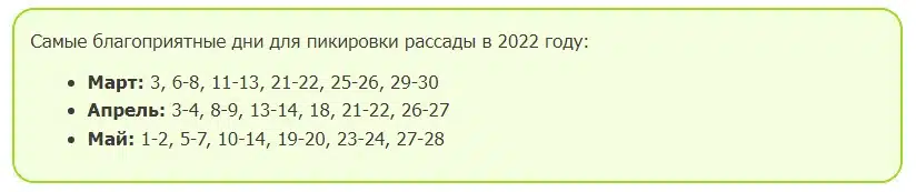 Когда сажать капусту на рассаду в 2024 году