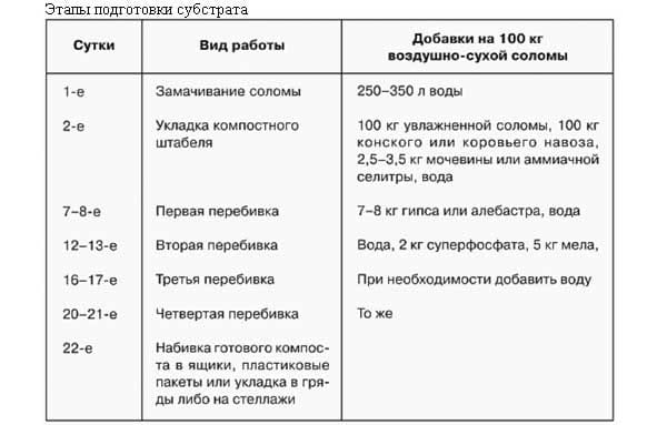 Технология выращивания грибов шампиньонов в домашних условиях